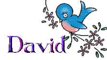 david 2 - GIF animé gratuit
