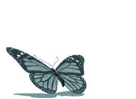 papillon - Ingyenes animált GIF
