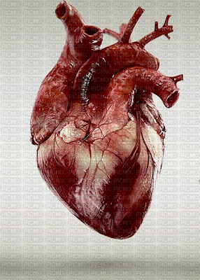 Corazón - Darmowy animowany GIF