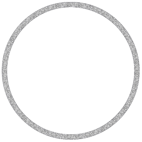 Silver Circle Frame-RM - PNG gratuit