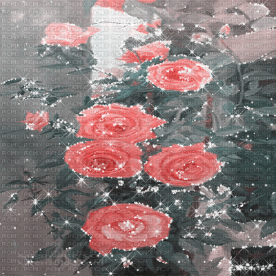 dolceluna spring roses animated pink summer - GIF animé gratuit