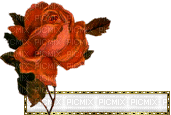 barre vide rose - Darmowy animowany GIF