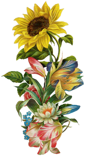 sunflower flowers summer - Бесплатный анимированный гифка