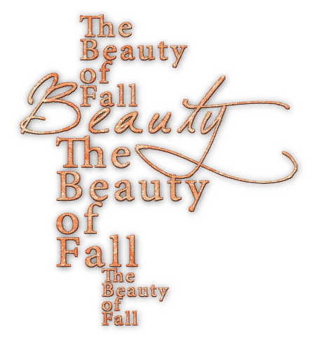 soave text autumn beauty fall  ​orange - PNG gratuit