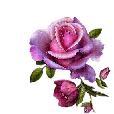 All My Roses - png grátis