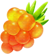 fruit - besplatni png