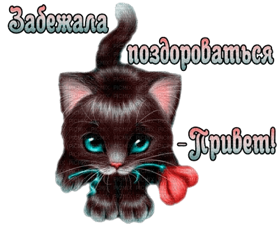 Y.A.M._Cat text - 免费PNG