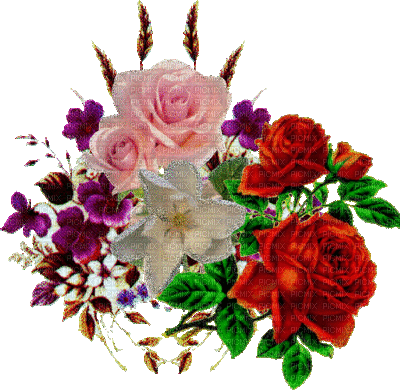 cecily-fleurs scintillantes - GIF animado gratis