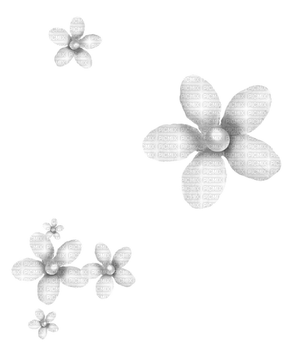 Pearl.Flowers.White - PNG gratuit