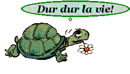 tortue - Ingyenes animált GIF
