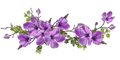 Kaz_Creations Flowers Deco Flower Colours - gratis png