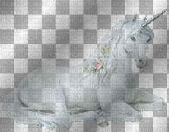 unicorn - Безплатен анимиран GIF