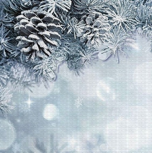 Winter.Hiver.Fond.Frame.Victoriabea - Free PNG