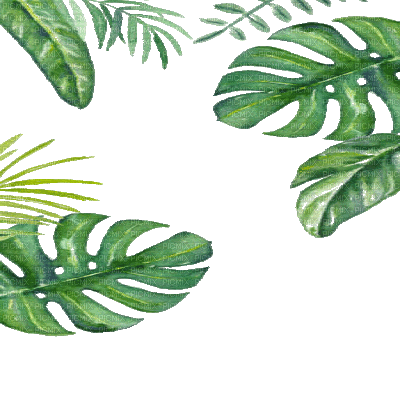 leaves, leaf, gif - Ilmainen animoitu GIF