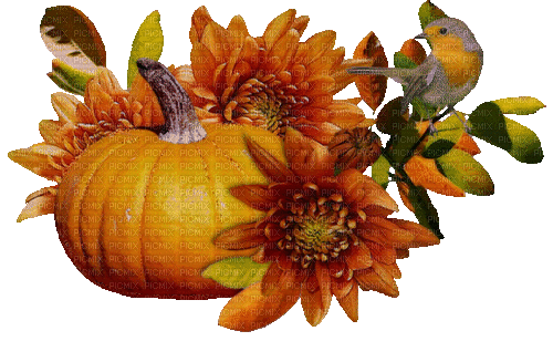 Herbst Impression - Ilmainen animoitu GIF