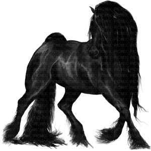Black Horse - PNG gratuit