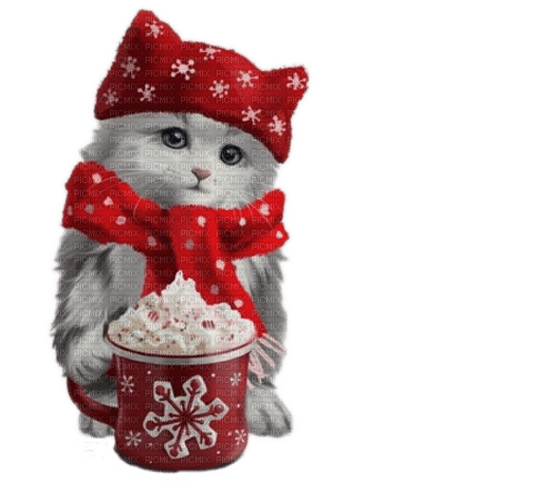 Cat, Katze, Weihnachten - png ฟรี