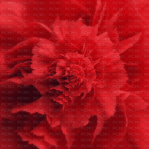 ani-blomma-röd - Darmowy animowany GIF