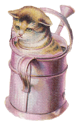 Katze, Cat, Gießkanne, Vintage - 無料のアニメーション GIF