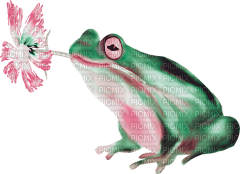 soave deco frog flowers  pink green - PNG gratuit