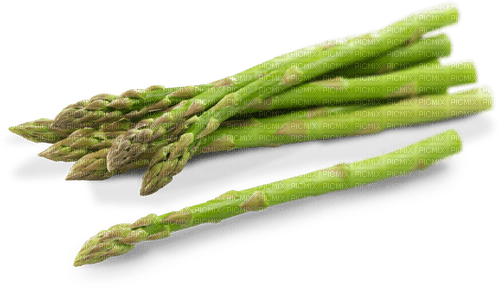 Asparagus - Free PNG