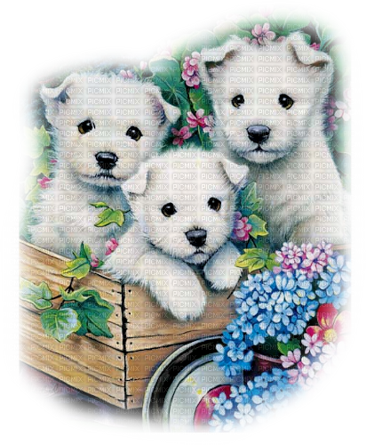 puppy dogs - png gratis
