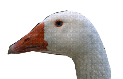 Goose - 免费PNG