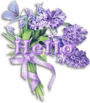 Hello, Flowers - 免费动画 GIF