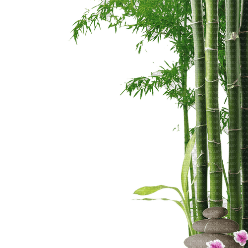 bambus milla1959 - png ฟรี