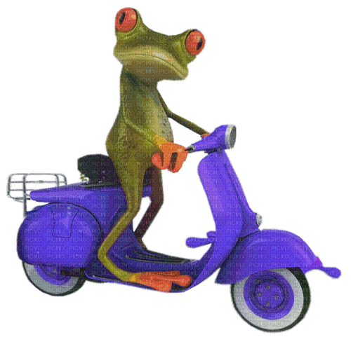 Kaz_Creations Frog On Bike - PNG gratuit