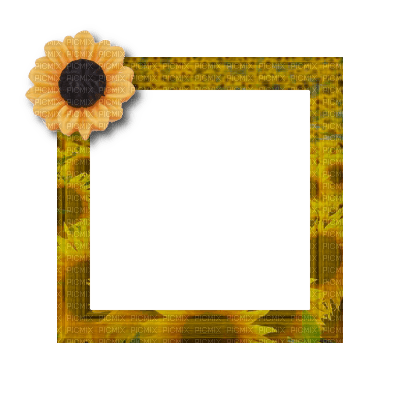 Small Yellow Frame - png ฟรี