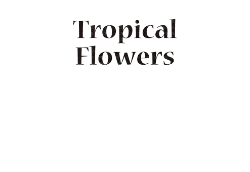 loly33 texte tropical flowers - Free PNG