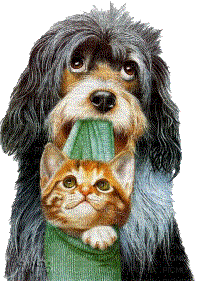 dog with cat bp - Free animated GIF