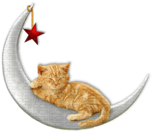 Kaz_Creations Cat Kitten On Moon - zadarmo png