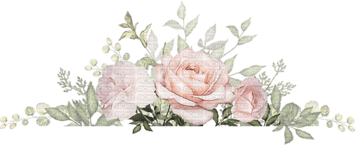 Roses - nemokama png