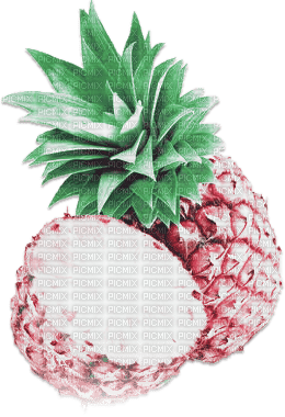 soave deco fruit ananas pineapple summer tropical - 無料png
