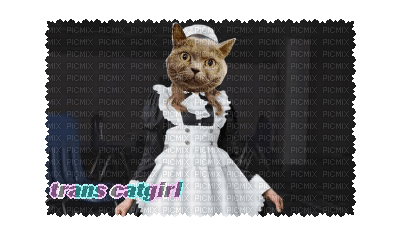 thisdastampdoesnotexist on tumblr . Trans catgirl - Free PNG