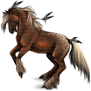American Indian horse bp - gratis png