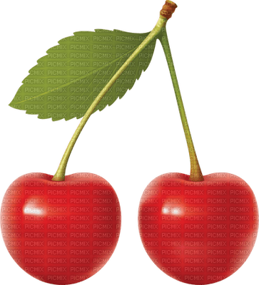 cherries cerise🍒🍒 - gratis png