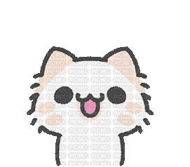 Cat Smh - 免费动画 GIF