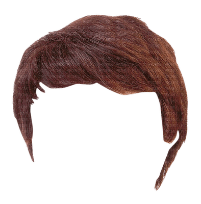 wig perücke hair haare perruque cheveux  man mann homme men    tube deco - PNG gratuit