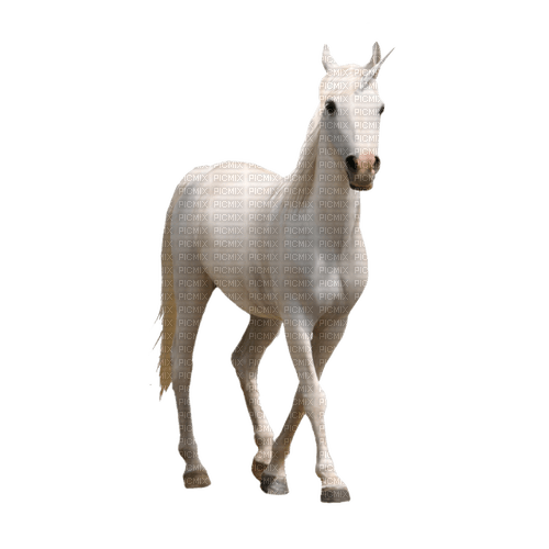 kikkapink deco scrap white horse - PNG gratuit