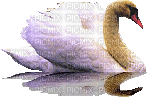 duck katrin - Δωρεάν κινούμενο GIF