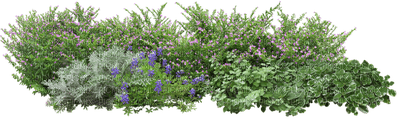 Kaz_Creations Garden Deco Flowers - Free PNG