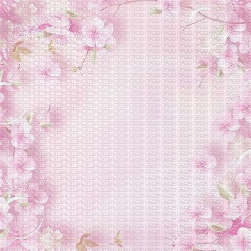 VanessaVallo _crea- pink  background - nemokama png