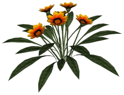 fleur orange.Cheyenne63 - png grátis