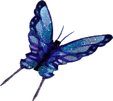 dulcineia8 borboletas - GIF animado grátis