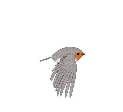 Birds - Nemokamas animacinis gif