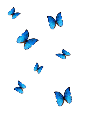 blue butterflies - zdarma png