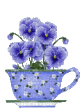 Purple Pansies in a Teacup - Gratis geanimeerde GIF